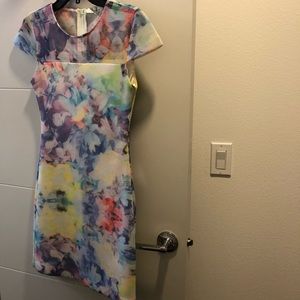 Parker dress